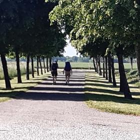 Starten på dagens vandring - to vandrere i alle 